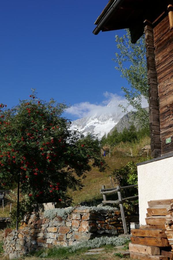 Chalet Birkhahn Saas-Fee Exterior foto