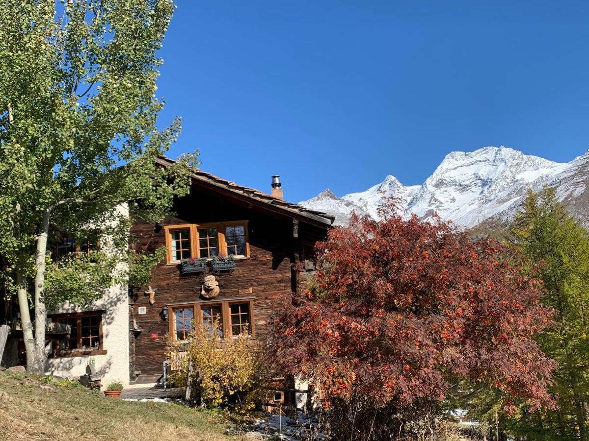 Chalet Birkhahn Saas-Fee Exterior foto