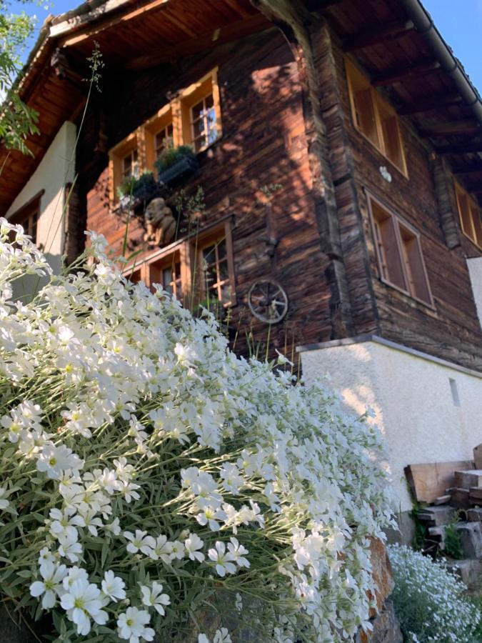 Chalet Birkhahn Saas-Fee Exterior foto