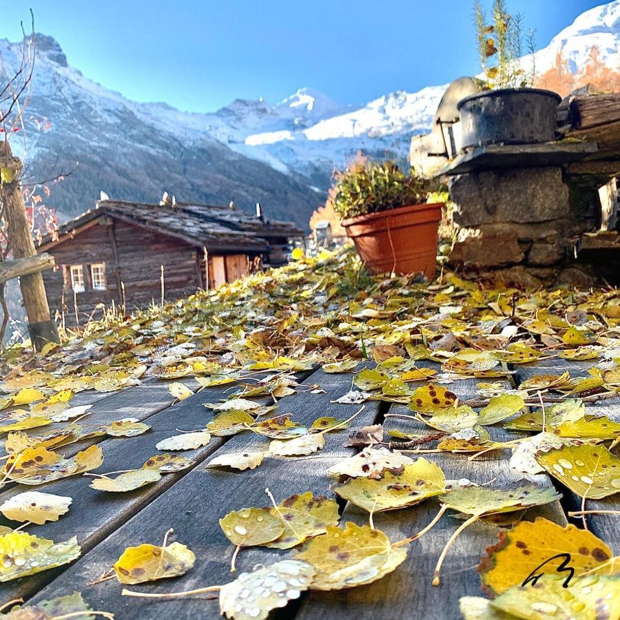 Chalet Birkhahn Saas-Fee Exterior foto